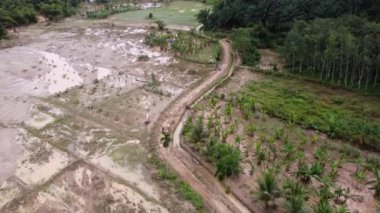 Aerial view after flood disaster happen at the plantation in Malaysia