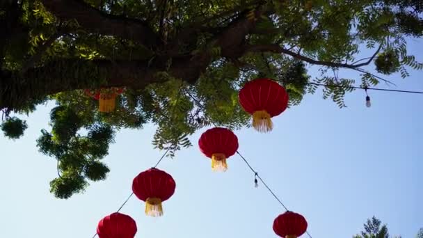 Tilt Red Chinese Lantern Hang Tree Blue Sky Day — стоковое видео