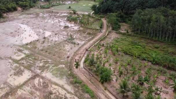 Aerial View Flood Disaster Happen Plantation Malaysia — Stockvideo