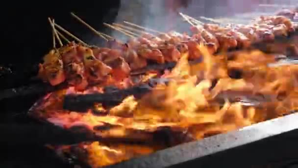 Select Focus Burning Charcoal Grilled Chicken Satay Which Famous Food — Αρχείο Βίντεο