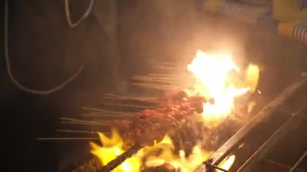 Chicken Satay Traditional Charcoal Fire Malaysia Famous Street