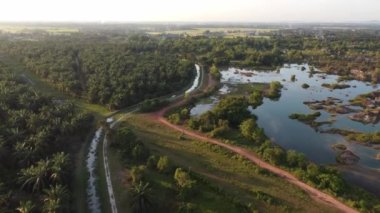 Aerial view natural foliage near abandoned quarry lake