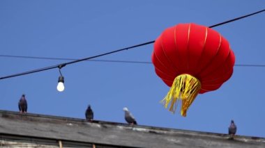 Red lantern waving. Background is pigeons sit at rooftop