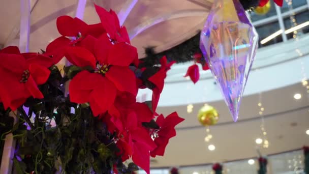 Follow Focus Fake Poinsettia Flower Crystal — 图库视频影像