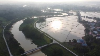 Aerial fly over sun beam reflection in water season of paddy field
