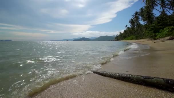 Low Angle View Sea Wave Hit Coconut Trunk Lay Beach — Vídeo de Stock