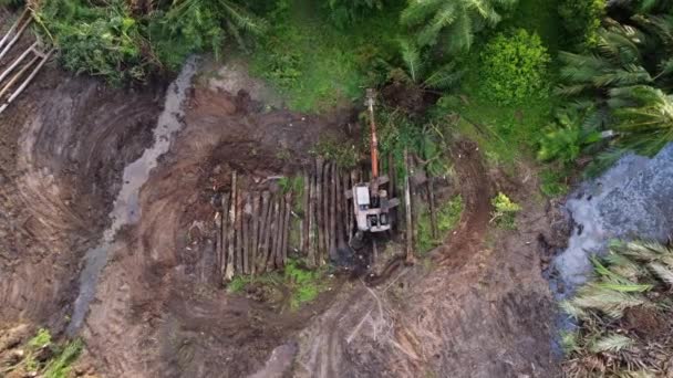 Bird Eye View Excavator Bulldoze Oil Palm Tree Land Clearing — Αρχείο Βίντεο