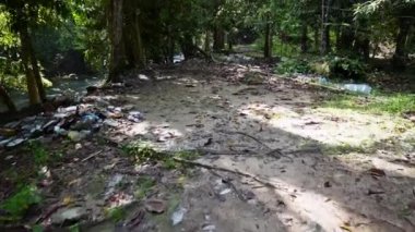 Slowly move over illegal rubbish dump at forest recreation park
