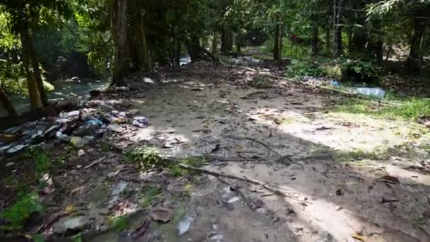 Slowly Move Illegal Rubbish Dump Forest Recreation Park — Stockvideo