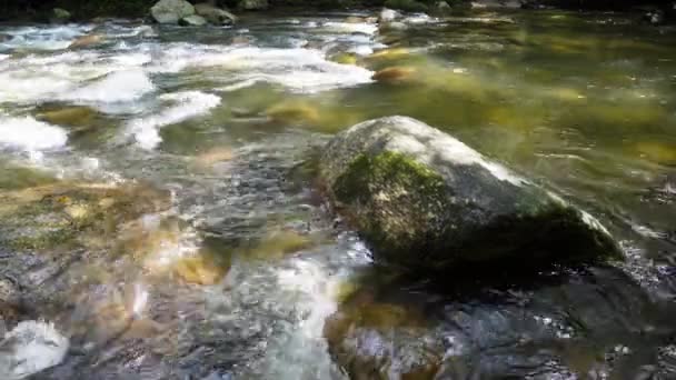 Water Flow Rock Morning Sun Light — Stock video