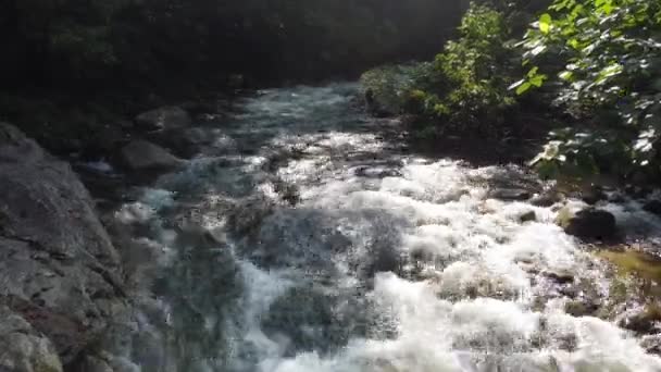 Fly Water Flow Rock Light Leak Sungai Sedim Forest — стоковое видео