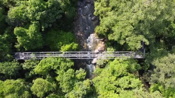Aerial Fly Forward Look Canopy Tree Top Walk Sungai Sedim — Stok Video