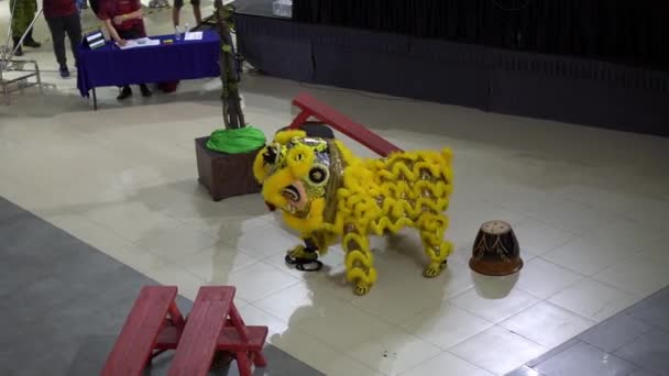 Georgetown Penang Malaysia Jan 2022 Χορός Κίτρινο Λιοντάρι Κατά Διάρκεια — Αρχείο Βίντεο