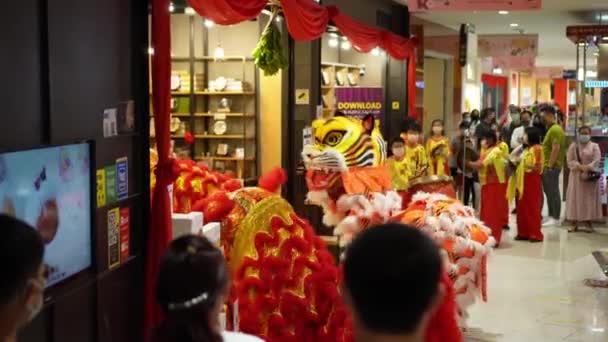 Джорджтаун Пенанг Малайзия Февраля 2022 Танец Льва Танец Тигра Благословляют — стоковое видео