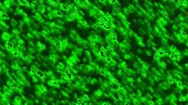 Hızlı hareket fraktal yeşil renk animasyonu. Soyut arkaplan 2B biçimlendiriliyor