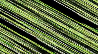 Yeşil doğrusal eğimli soyut arkaplanın dönüşü. 2B bilgisayar oluşturma şablonu