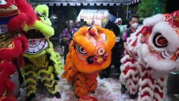 Джорджтаун Пенанг Малайзия Августа 2022 Танец Льва Съедает Мандаринский Оранжевый — стоковое видео
