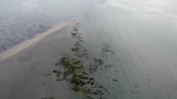 Vue Aérienne Côtière Plante Verte Montrée Seulement Pendant Marée Basse — Video