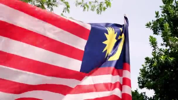 Malaysia Flag Vinker Grøn Udendørs – Stock-video