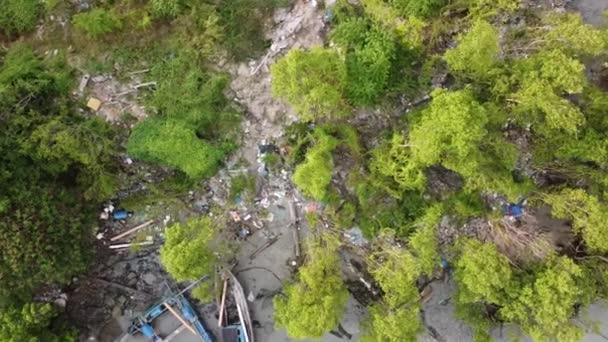 Udara Melihat Bawah Aliran Sampah Pantai Dekat Hutan Bakau — Stok Video
