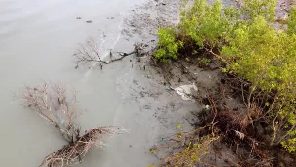 Letecký Rotační Pohled Plastové Odpadky Blízkosti Mangrovníku Pobřeží Znečištění Životního — Stock video