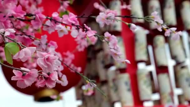 Fałszywy Kwiat Sakura Machający Wiatrem Tłem Dekoracji Latarni Japońskiej Podczas — Wideo stockowe