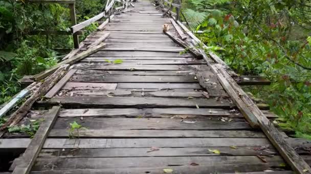 Pomalu Přejděte Přes Rozbitý Dřevěný Most Oranžové Kočce — Stock video