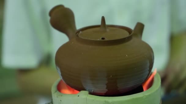 Select Focus Traditional Chines Tea Pot Burn — Stock Video