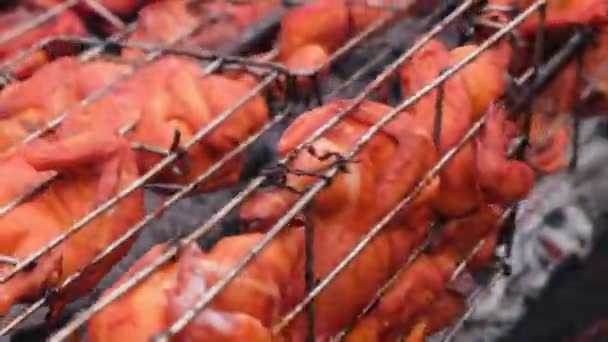 Zárja Ayam Golek Sült Csirke Főtt Faszén Tüzet Ízletes Malajziai — Stock videók