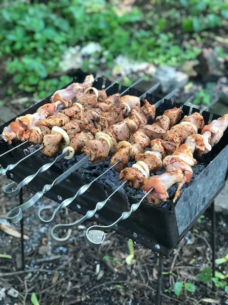 烤架上的肉挂在绞架上 本质上是野餐 烧烤时间 户外烹调 — 图库照片