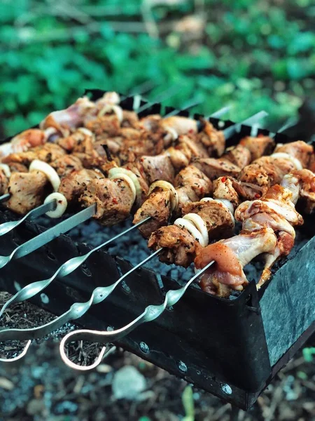 Mięso Szaszłyki Grillu Piknik Przyrodzie Czas Grilla Gotowanie Świeżym Powietrzu — Zdjęcie stockowe