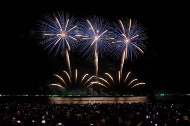 Pattaya Uluslararası Havai fişek Festivali, Chonburi Bölgesi, Tayland, 27 Kasım 2021