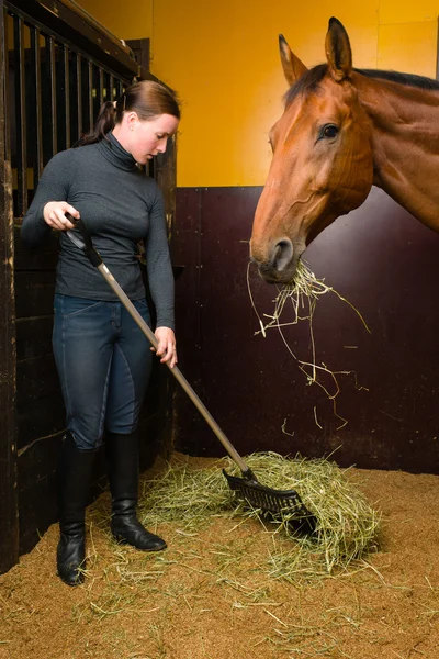 Mujer alimentación caballo — Foto de Stock