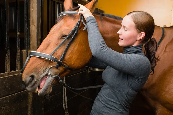 Bridle horse — Stock Photo, Image