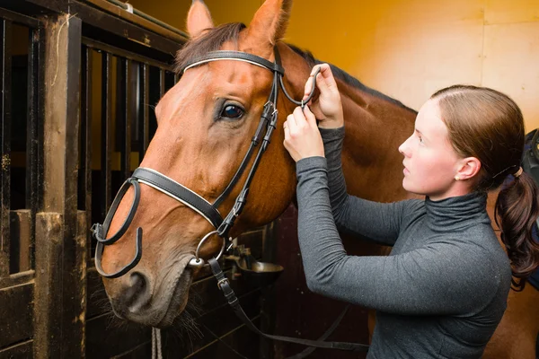 Cheval de bride — Photo