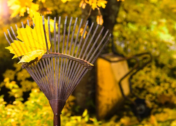 Rake en blad — Stockfoto