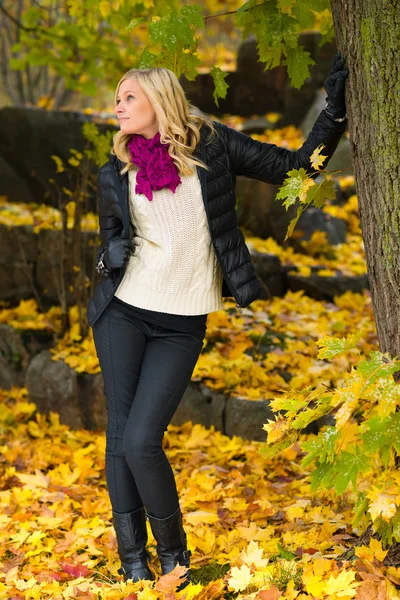 Meisje en herfst — Stockfoto