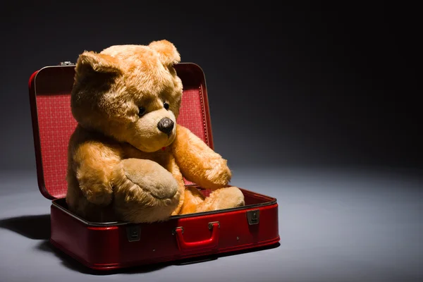 Teddy and suitcase — Stock Photo, Image