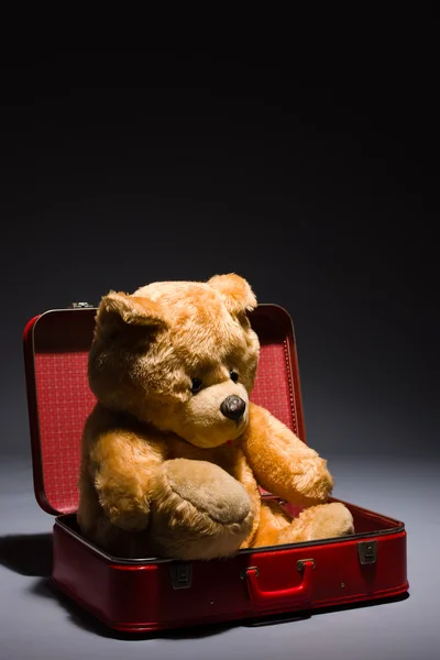 Teddy och resväska — Stockfoto