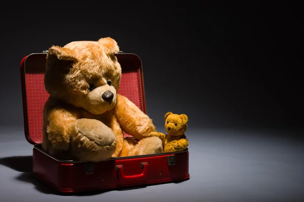 Teddy friends and suitcase — Stock Photo, Image