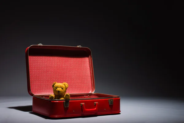 Little teddy and suitcase — Stock Photo, Image