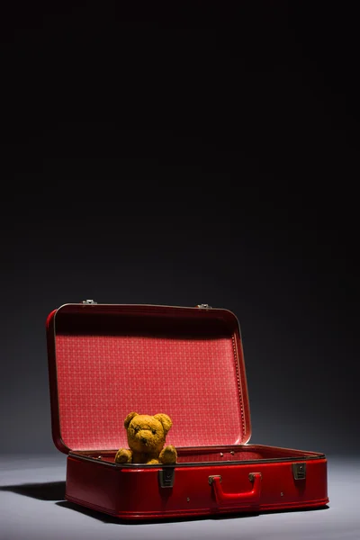 Маленький Тедди и чемодан — стоковое фото