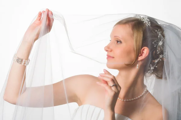 Bride and veil — Stock Photo, Image