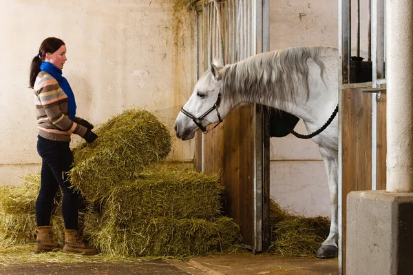 Donna e cavallo — Foto Stock