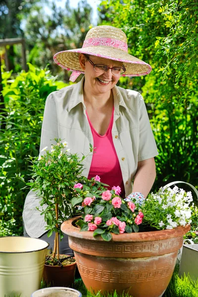 Bloemen planten — Stockfoto