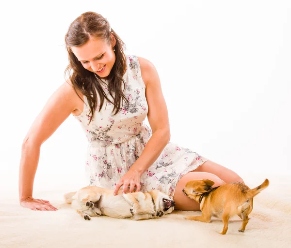 Woman and dogs — Stock Photo, Image