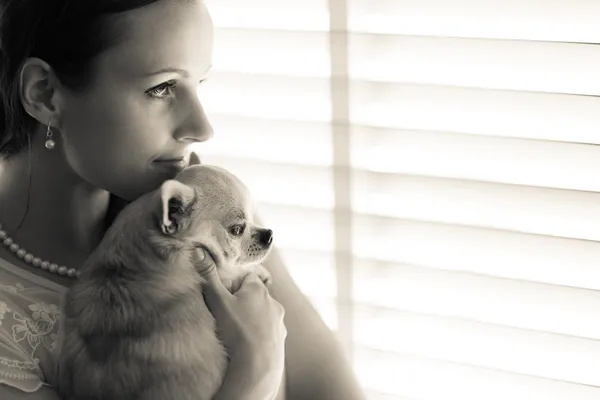 Vrouw en chihuahua — Stockfoto