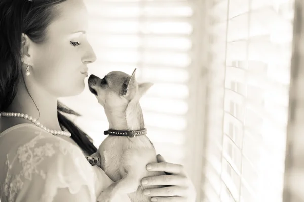 Vrouw en chihuahua — Stockfoto