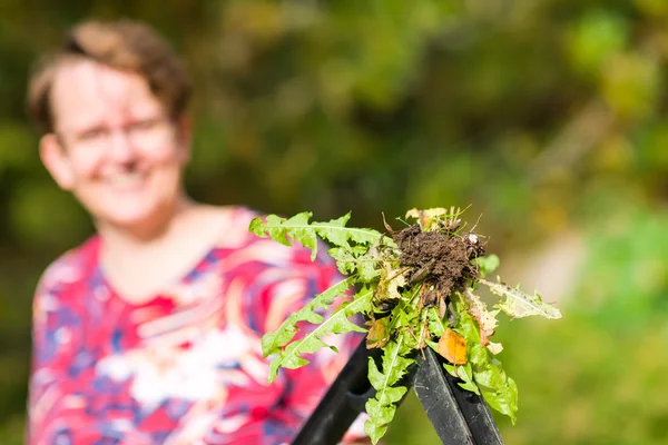 Vrouw trekken onkruid — Stockfoto