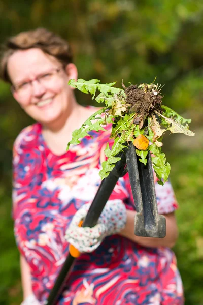 Женщина вырывает сорняки — стоковое фото